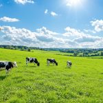 Çiftlikler için Kamera ve Alarm Çözümleri